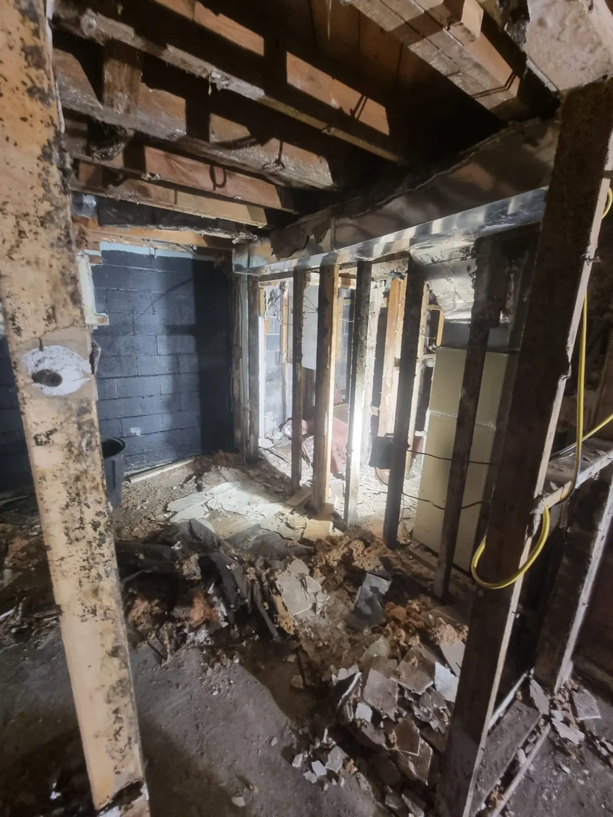 Bathroom demolition to studs — Eagle Remodeling Services